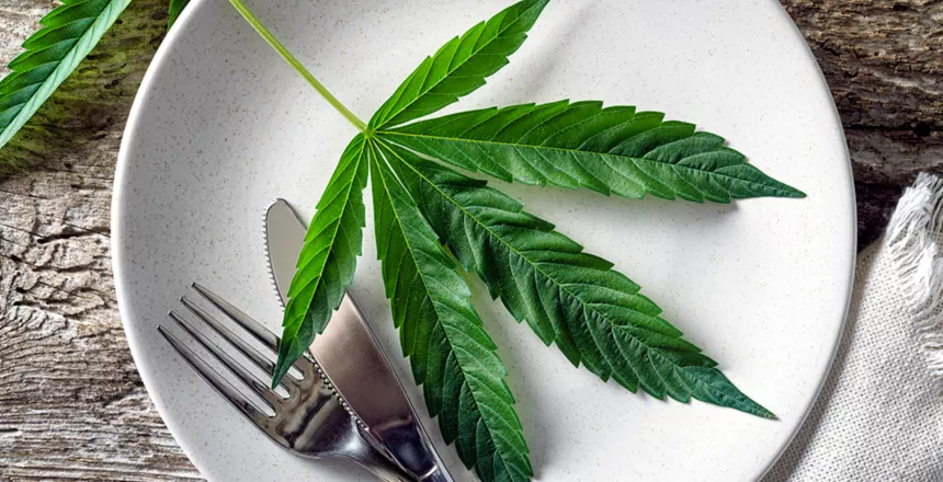Cannabinoids and Nutrition: What You Need to Know