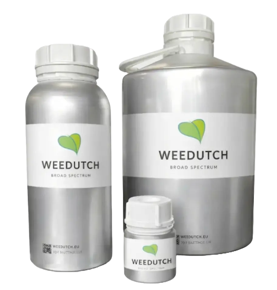 Bulk Cannabinoid Oil Supplier