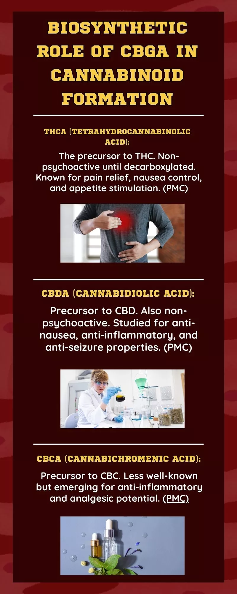 Biosynthetic Role of CBGA in Cannabinoid Formation