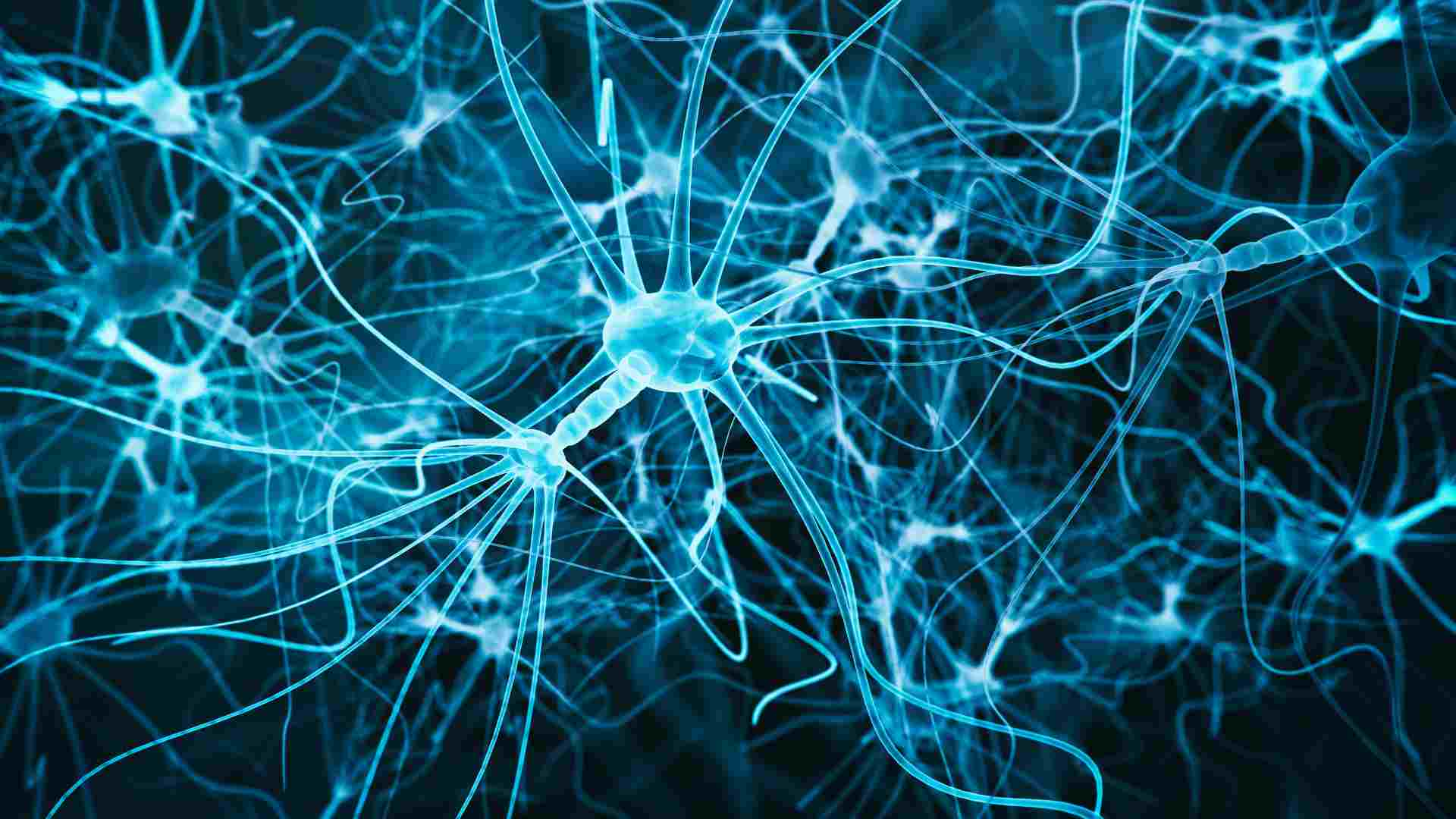 CBGA and Its Affinity for Cannabinoid Receptors