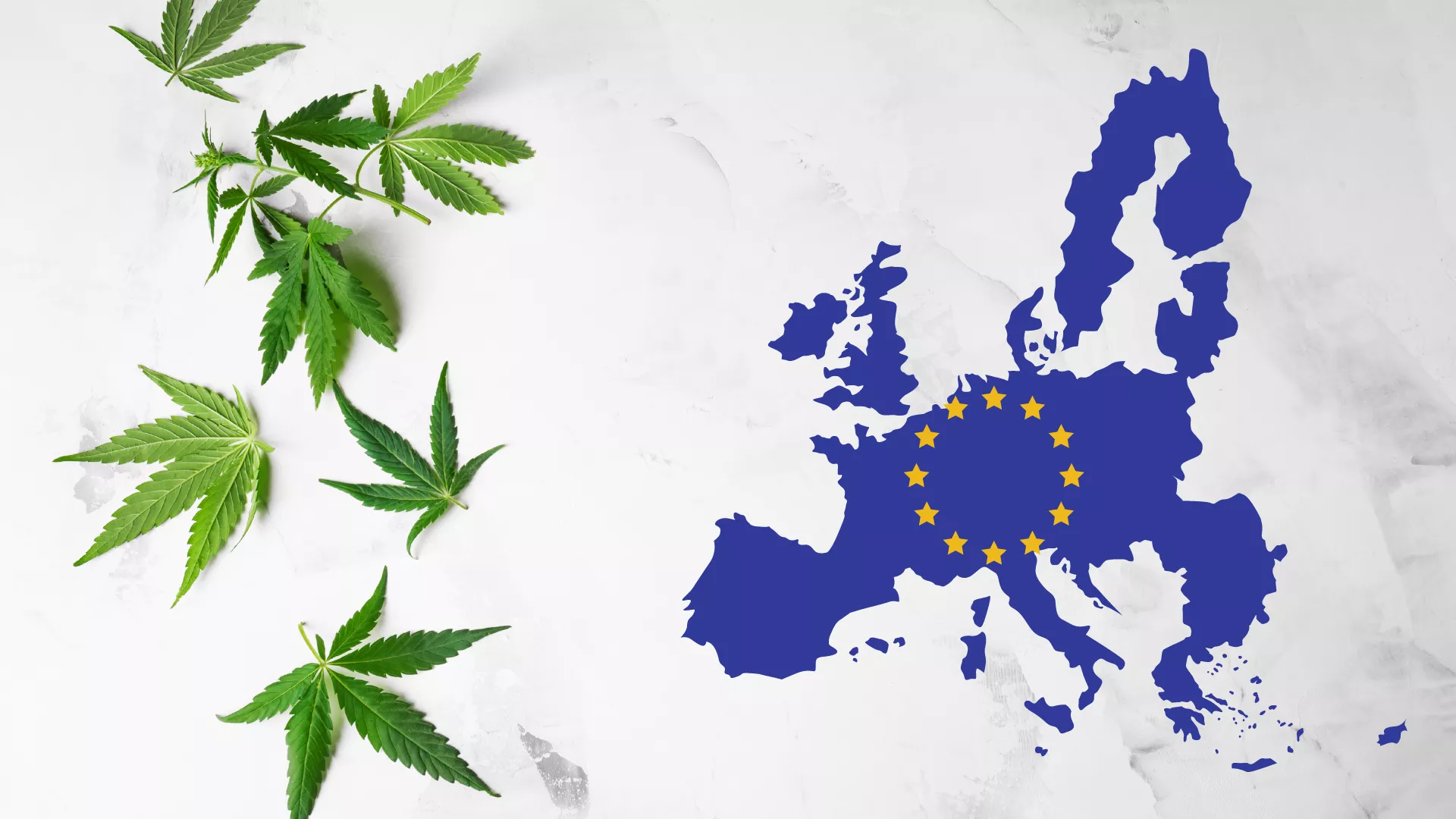 Navigating the New Wave The Transition from HHC to 10-OH-HHC in Europe's Evolving Cannabinoid Landscape (1)